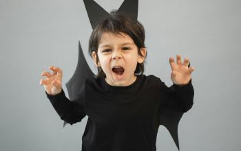 Car Pictures Bat Auctions